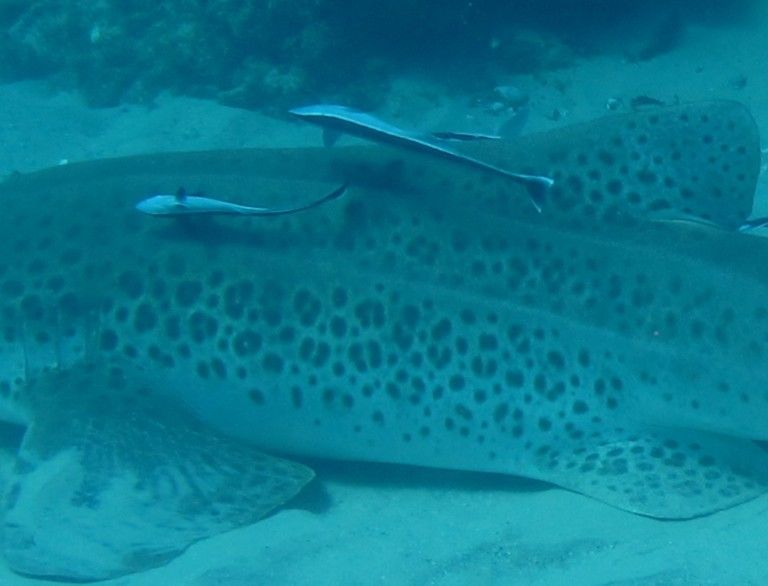 b57c14f2-6410-4ef0-b0ed-5ab6b3f0c32b