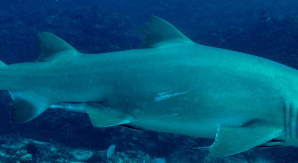 deece9a3-b33e-49b6-8c24-b06bd439e53d