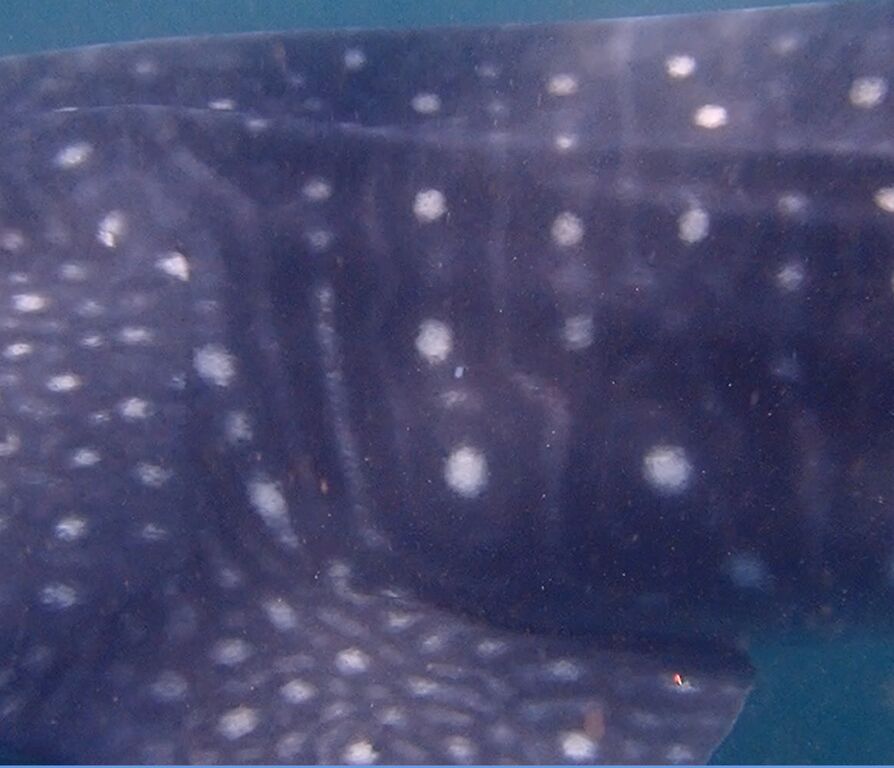 068e2fc5-db9e-4047-bd90-12256eebd2a9