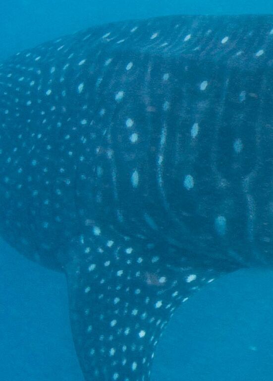 4060e042-e689-43c6-8a84-8a466c4e3874