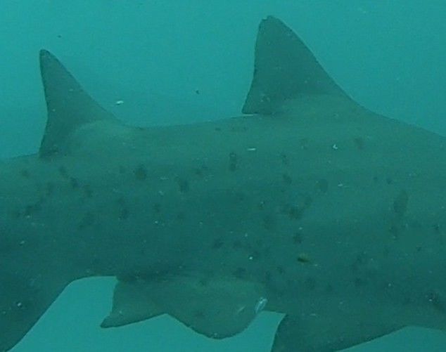 62de430c-1b87-40ba-ab72-80439fa58196