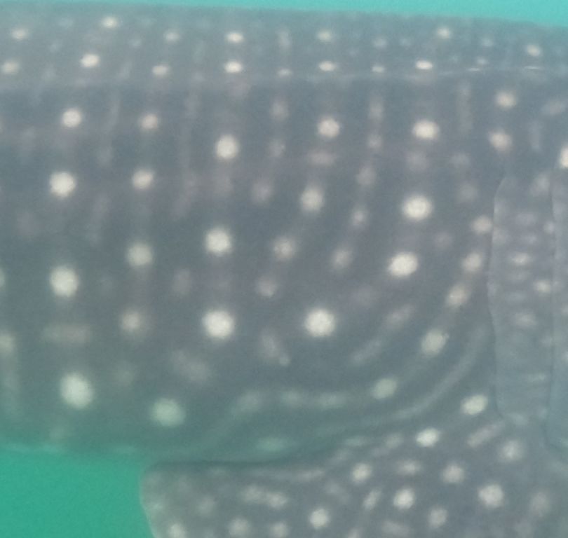 a77828aa-1640-4d3d-b8e6-88efcc88c2ba