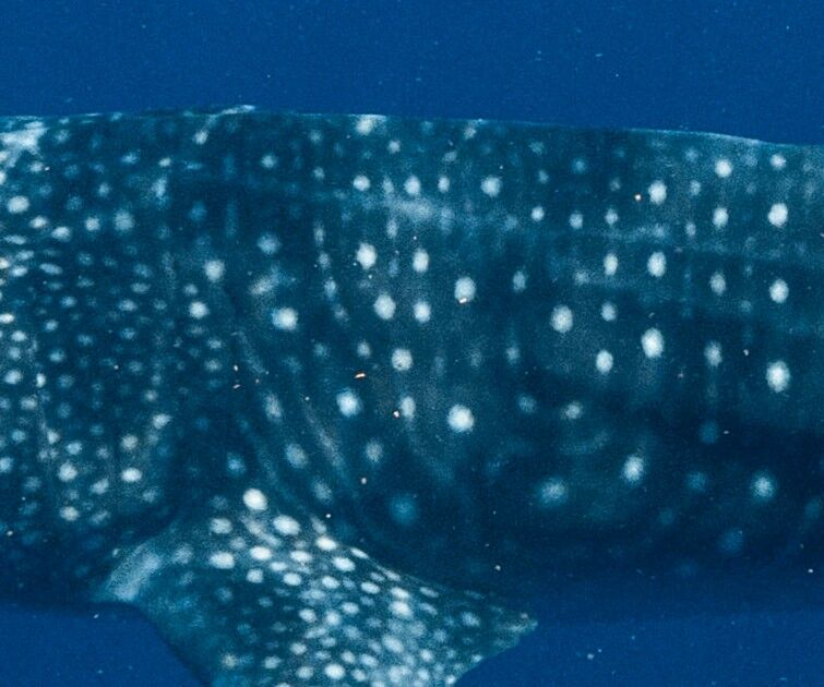 5ca0b4ee-97fa-4915-a62d-d2482a4ef4a9