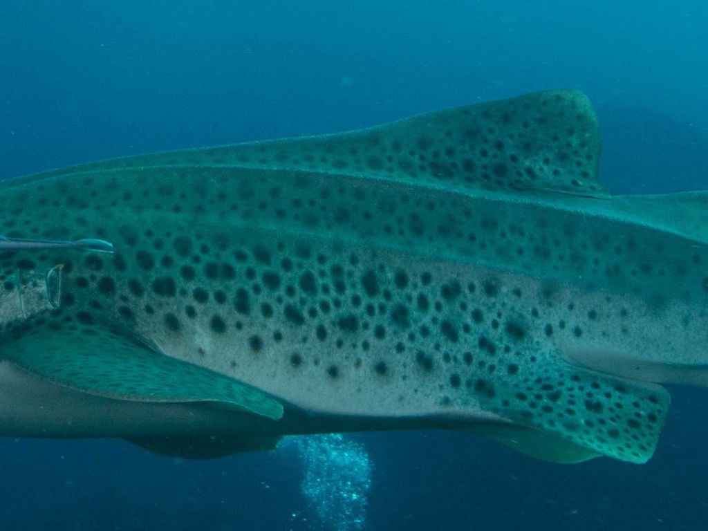 50e8d151-4727-4b3c-8077-206868efc5fe