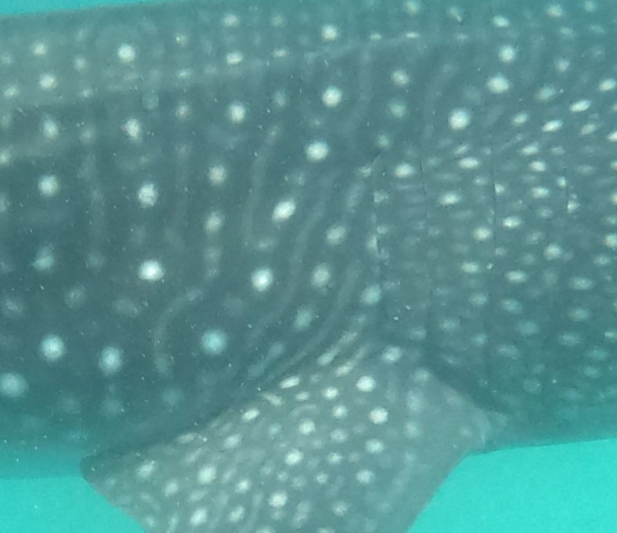 60720c19-5114-45ea-9e29-3cb9ae8f09cd