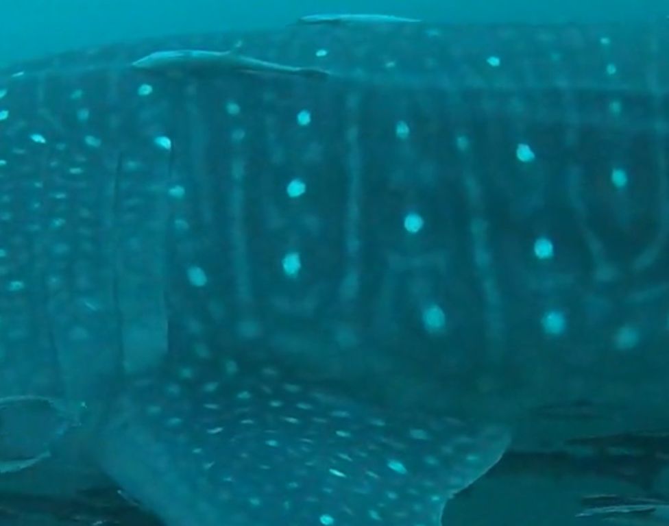 4acb42bd-7f22-491f-8f27-56659478108d