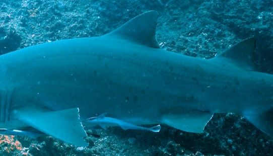 ebb52bda-5f21-4670-840d-9534e7837fae