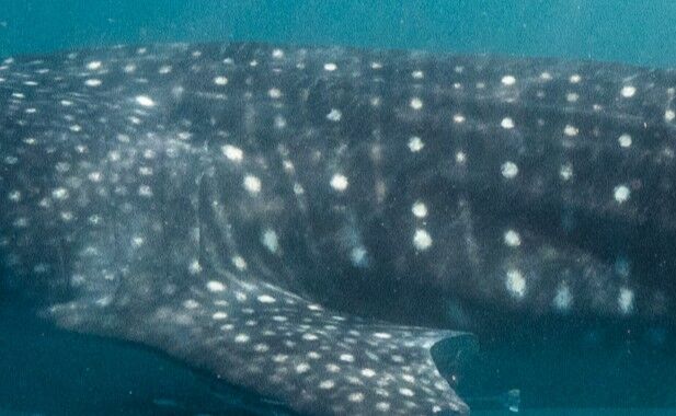 06b656ea-d721-4ef0-8f2b-5cb80f2f9ed1