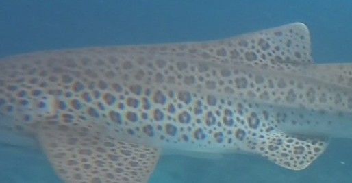 e6b815f3-e59d-4931-87af-9458956bc132