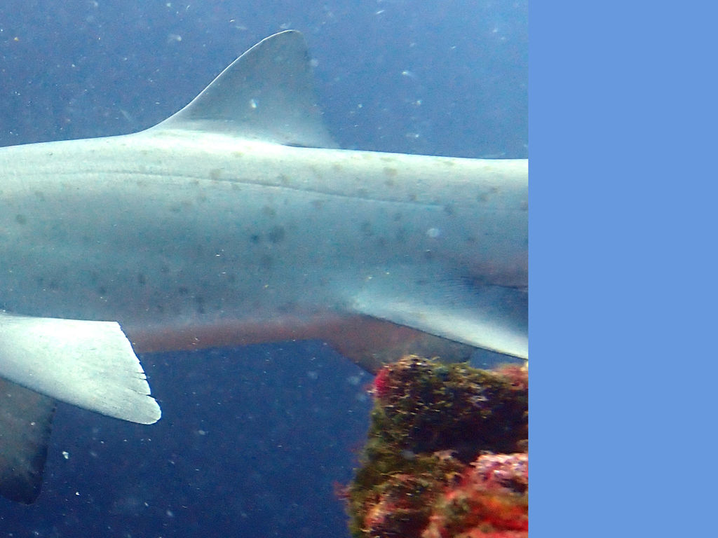 19e25995-7d5a-45bd-91ec-2e758b85c0cf