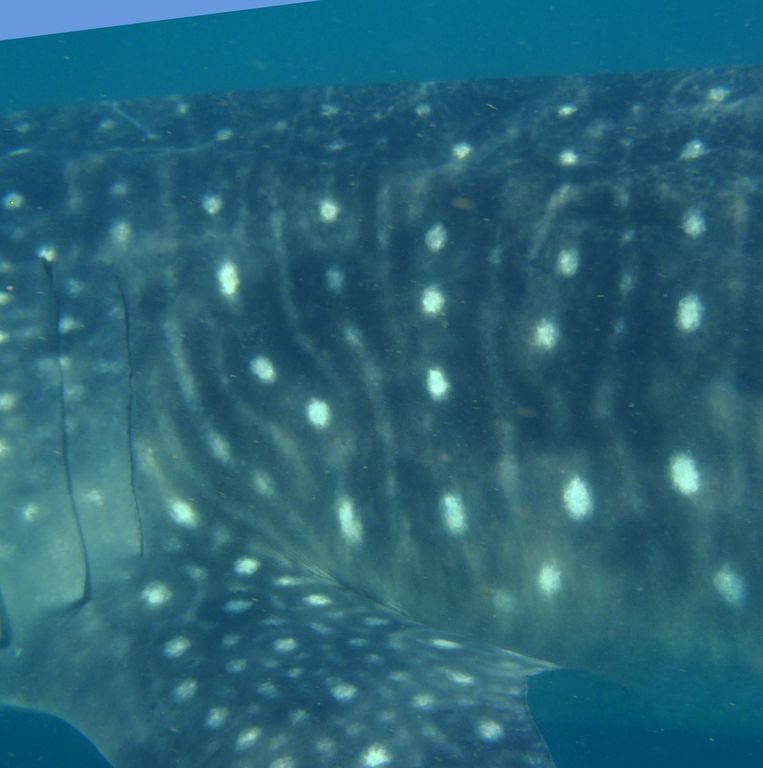 e01ef020-3244-4bee-b310-bb61c1e75bcb