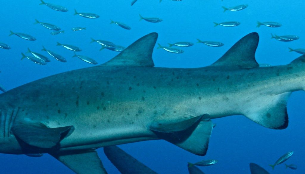 d7947b43-9ca7-436a-99ee-4bc80a723c72