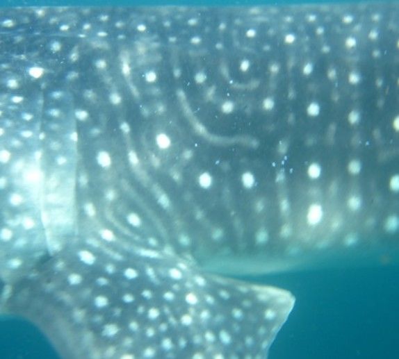 7fd2d62b-6f9a-4387-9e07-e216c41168c1