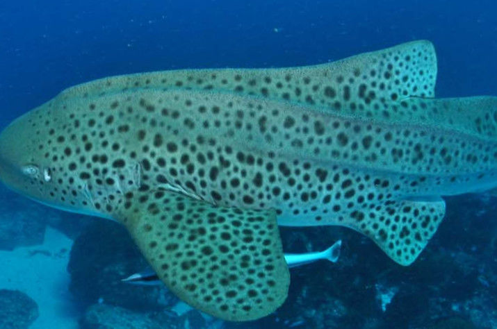 84bc55d0-b71f-4201-914f-e5893449a51e