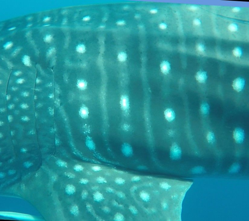 78e95ba4-5767-4577-ac64-7c2605f1b2f7