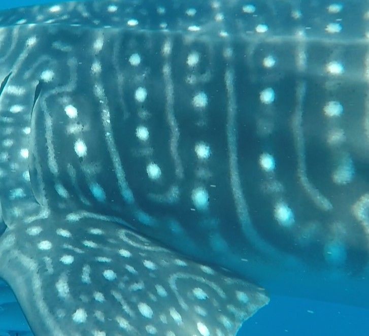 a0dd0754-cdc5-4f64-8a34-f752b8766432