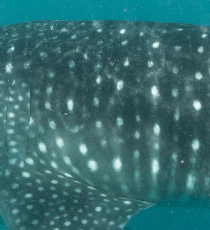 fb5ada7d-ead1-494c-a449-fb8c56f81c7c