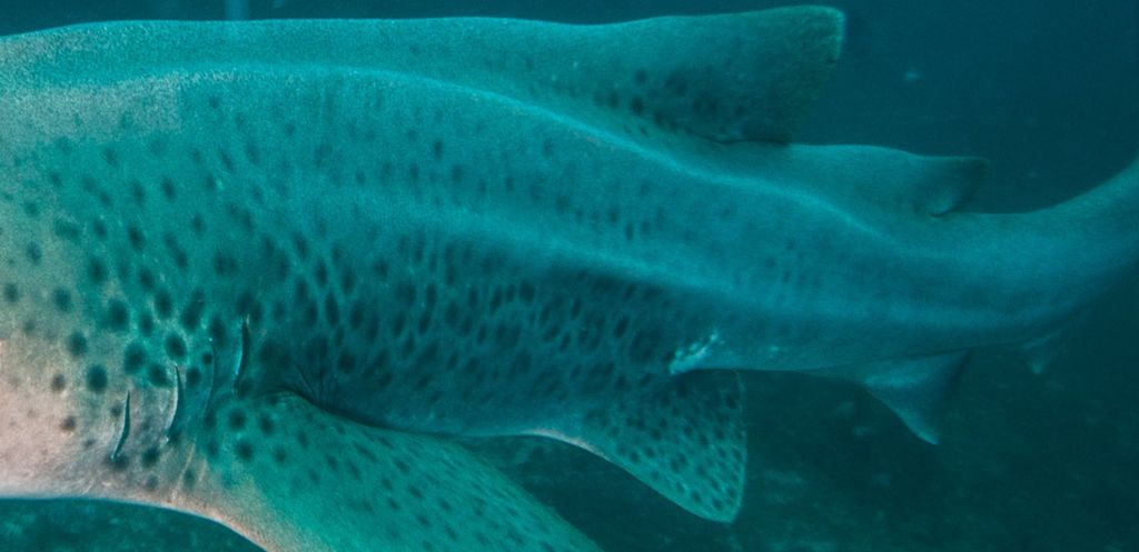 b9eaaaf1-27ad-4802-8160-9bae8b598304