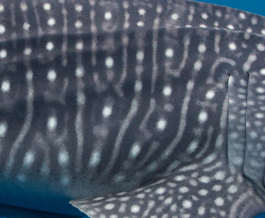 9ff36c08-b861-4f92-9bc7-e34091321ba5