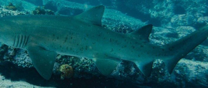 da978f19-628b-4114-a073-cf42e19e4db2