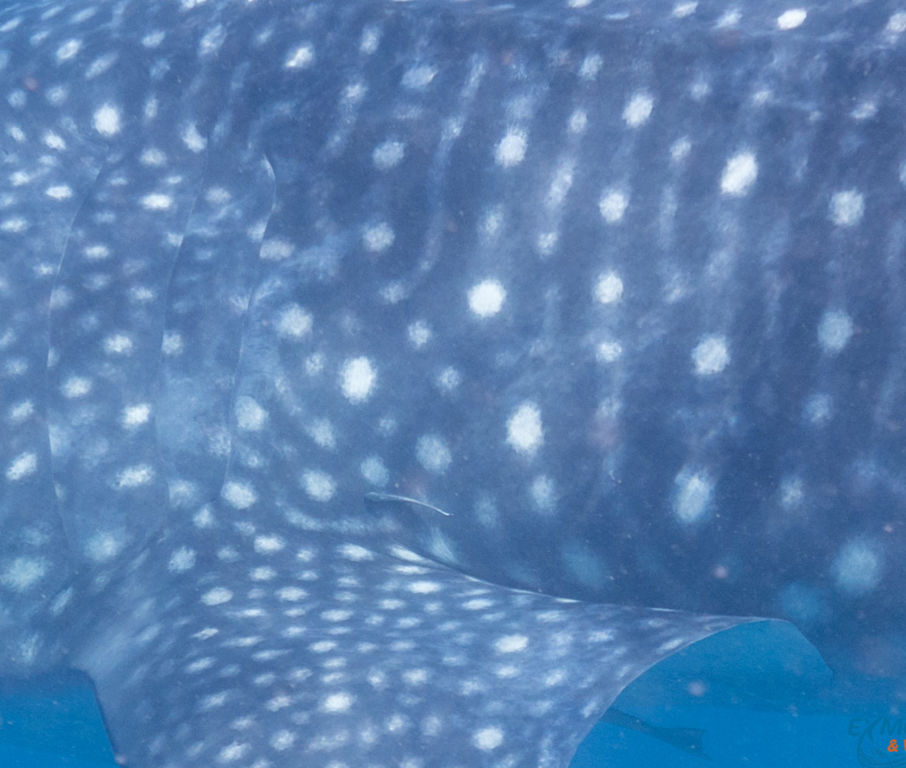 51260148-7919-49e4-96e7-ae35dabc2b25