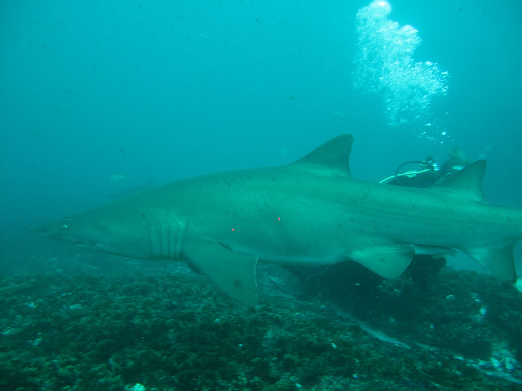 64ca5de6-97d9-4403-af2c-0f56a31acdb7