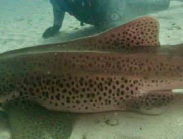 742bd00b-3f46-490d-9ca4-776ecb7d9d7c