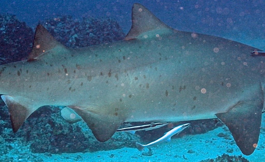 405e9aac-f1bf-46f5-884f-56ce1d30682a