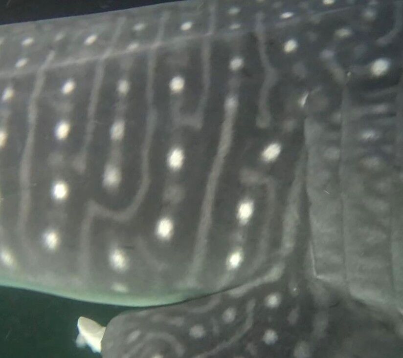 21b53a21-6614-431c-a4ef-e01668df024c