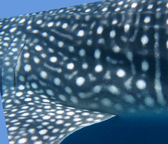 467238a0-06ac-4cc5-b5dc-f108034aef30