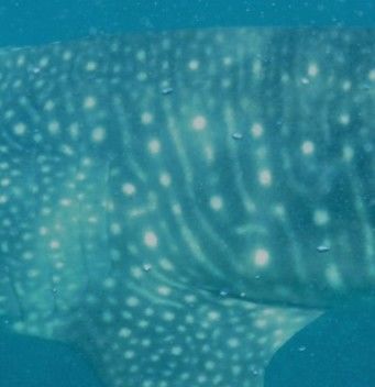 73c82212-cada-4aa0-bcb9-cc4d090f2141