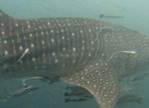 b0af999c-f132-4161-a51f-f4e92d0da533