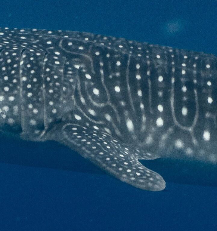 ae43bc7d-4696-46ef-835e-ea5b69c695a6