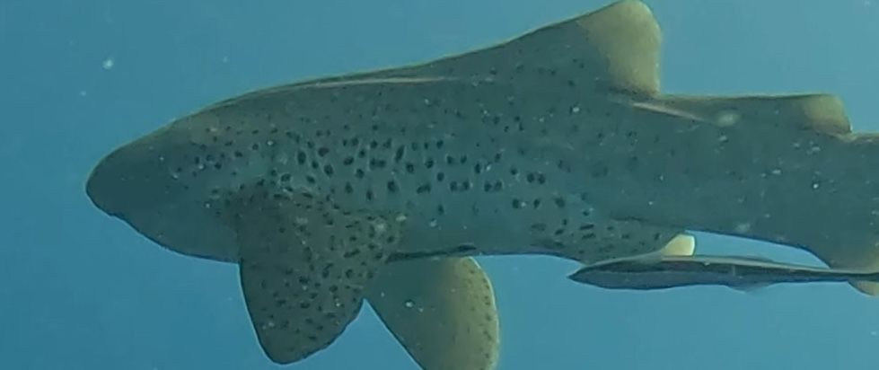 0233a177-cd63-4b6b-956a-25cf717e69e8