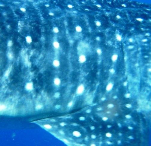 1fb3e489-48cd-46c4-a110-230fd1eefff0