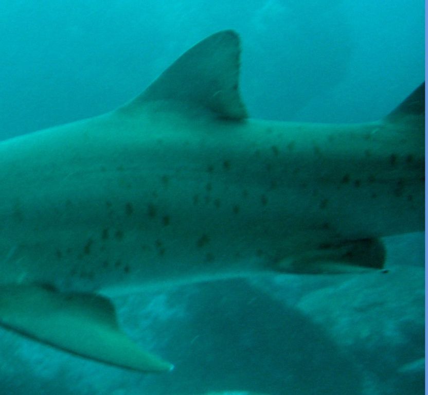 d4bd4102-eaae-4f37-b05a-6a135f5cd605