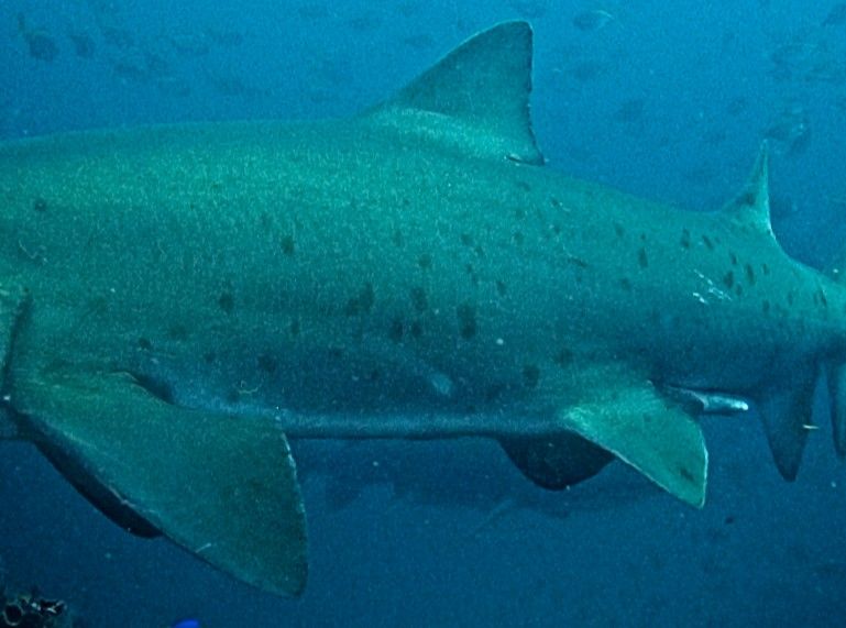 a7f80917-63e9-4005-b73b-5cdd8768c105