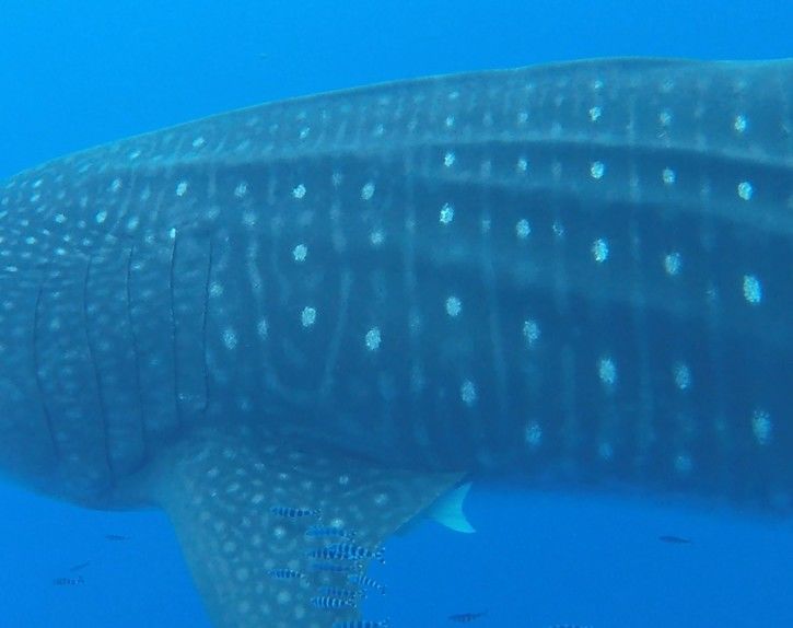 b83a9841-a801-44fa-98ce-4f10b33870d9