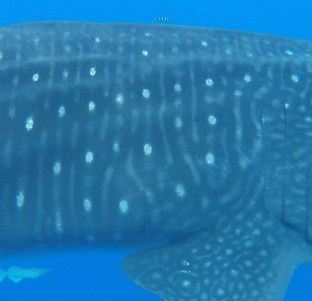 b83a9841-a801-44fa-98ce-4f10b33870d9