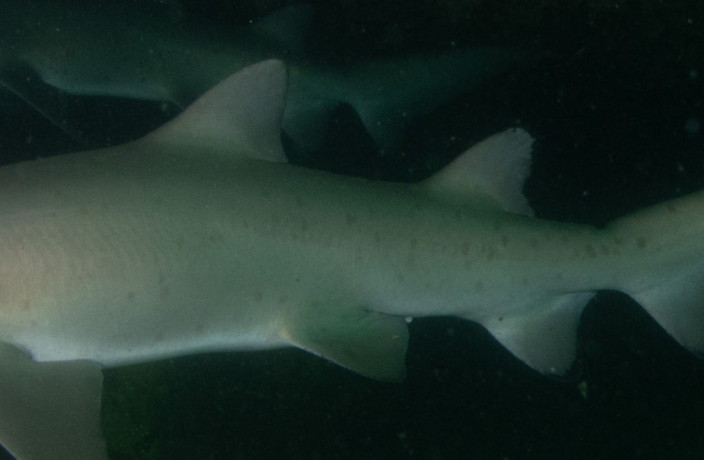 baa70f47-3df0-417a-a4ed-7b9db3a6e1e4