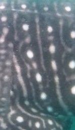 79cfad13-f19a-4cbc-8fb8-df097501d124