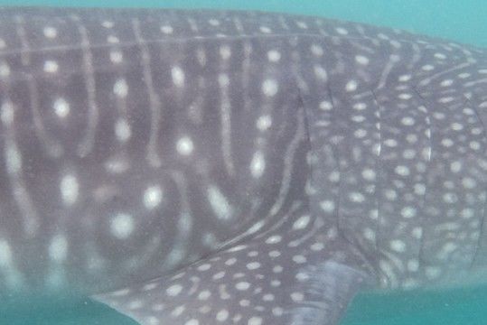 7a692703-f84f-4c0f-b16a-3082f82ce8d5