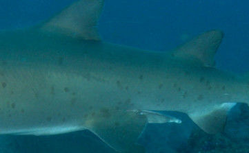 75e921fa-f056-4fce-bd79-986d7184fdbf