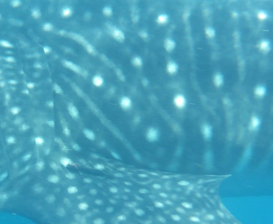 f6454046-c601-41e7-a8b0-b7361d7fd604