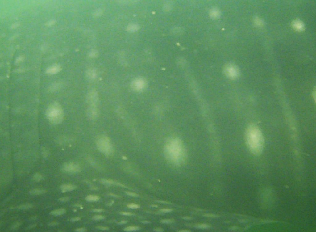 b3ce0312-9501-42f8-82e0-0dc61fdd4f83