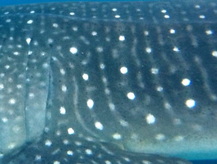 3183d920-db7f-43a3-8bf8-3c4c95b73baf