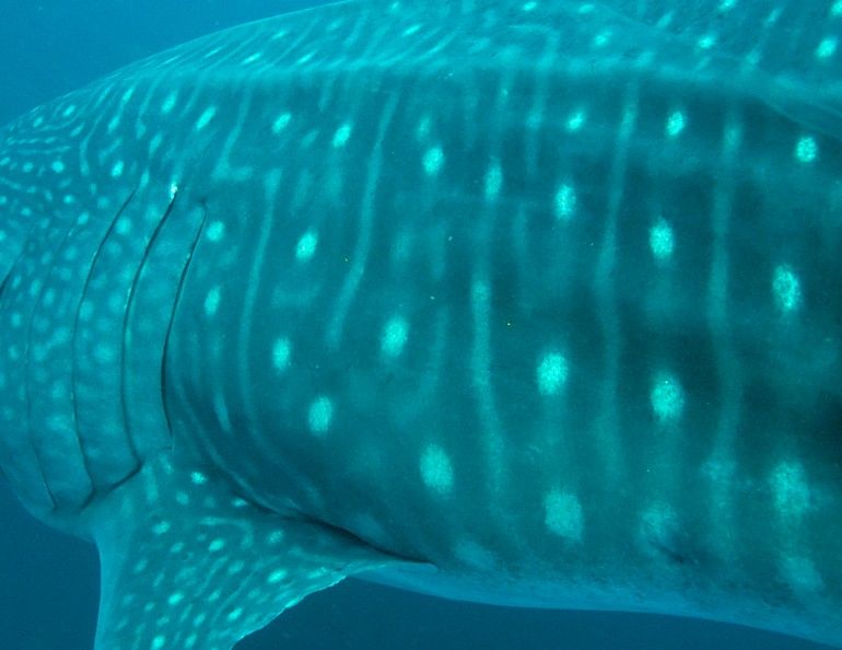 3cde3499-b406-4a6a-a613-24aa9e2a03f4