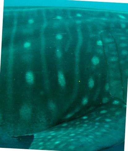 3cde3499-b406-4a6a-a613-24aa9e2a03f4