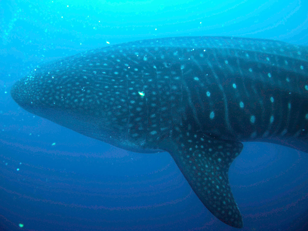 7f547841-926d-45ba-82ec-f09187ec2678