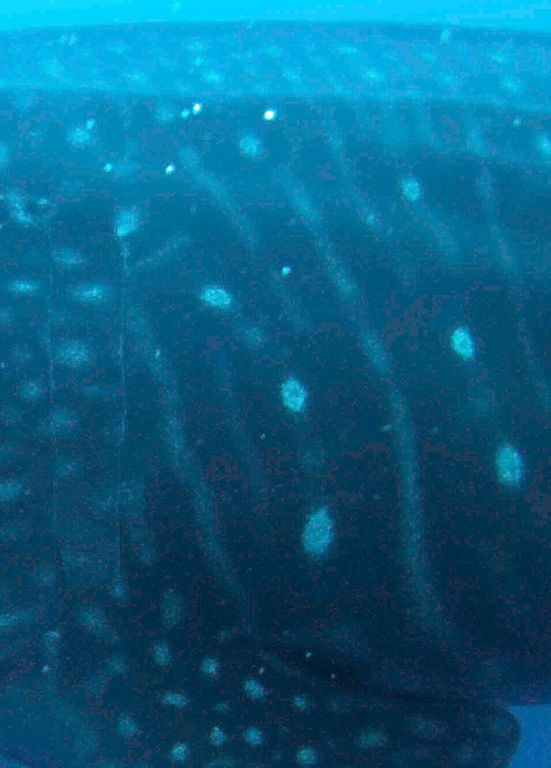 7f547841-926d-45ba-82ec-f09187ec2678